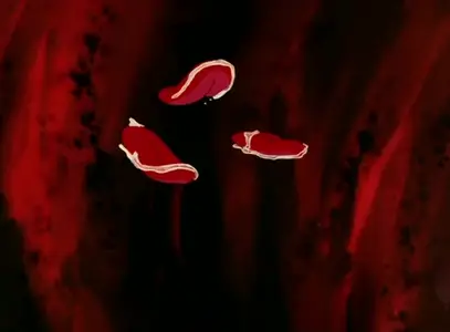 Maeterlinck no Aoi Tori - Tyltyl Mytyl no Bouken Ryokou - 05 mkv