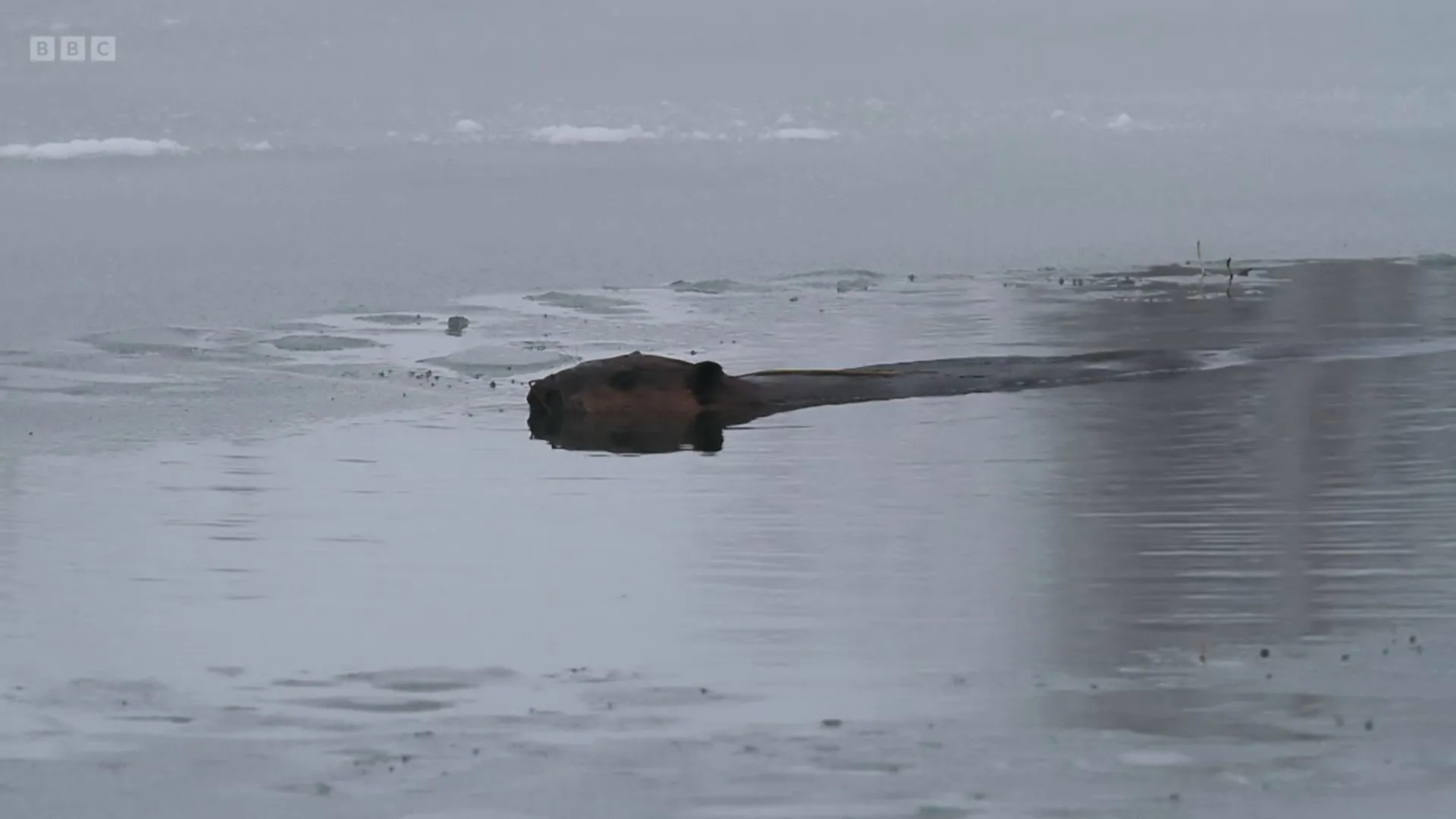 BBC Storyville - Welded Together (2025)