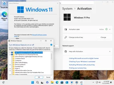 Windows 11 Pro 25H2 Build 26200.7171 (No TPM Required) Multilingual Preactivated November 2025