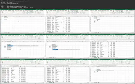 Excel : Les formules et les fonctions avancées (Microsoft 365)