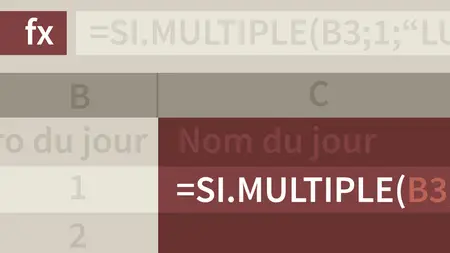 Excel : Les formules et les fonctions avancées (Microsoft 365)