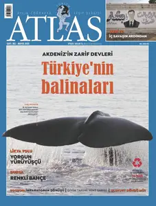 Atlas - 1 Mayıs 2025