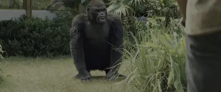 Rampage (2018)