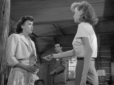Woman in Hiding [Women in Danger Collection] (1950)