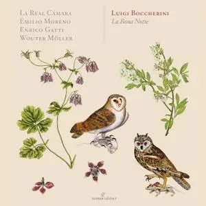 La Real Cámara, Emilio Moreno, Enrico Gatti & Wouter Möller - Boccherini: Chamber Music (2020)