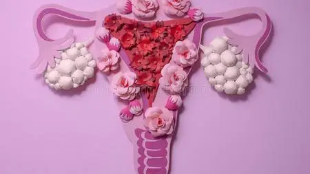 All About Polycystic Ovary Syndrome