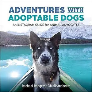 Adventures with Adoptable Dogs: An Instagram Guide for Animal Advocates
