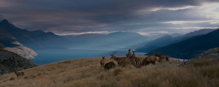 The Water Horse: Legend of the Deep