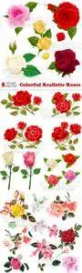 Vectors - Colorful Realistic Roses