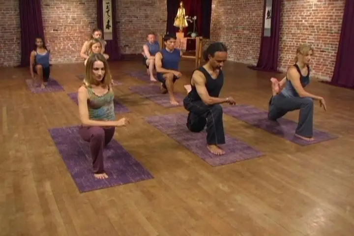 Insight Yoga with Sarah Powers