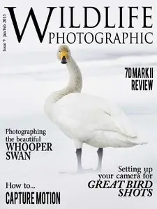 Wildlife Photographic - January-February 2015