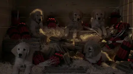 Treasure Buddies (2012)