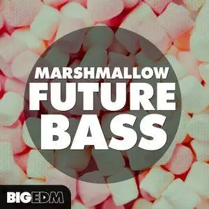 Big EDM Marshmallow Future Bass WAV MiDi Sylenth1 Massive SERUM