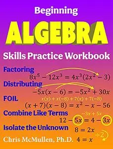 Beginning Algebra Skills Practice Workbook