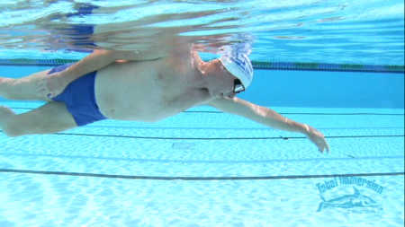 Easy Freestyle: 21st Century Techniques for Beginners to Advanced Swimmers (Total Immersion)
