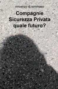 Il ruolo delle Private Security Firms nel mondo contemporaneo