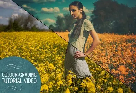 Colour Grading Tutorial Video