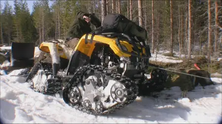 Wild Scandinavia / Wildes Skandinavien / Дикая природа Скандинавии (2011) 