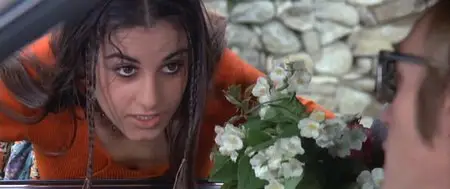 The Bloodstained Lawn (1973)