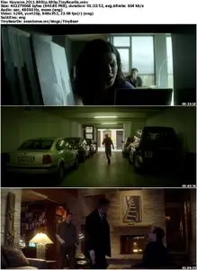 Haywire (2011)