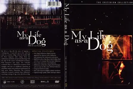 My Life as a Dog (1985) [The Criterion Collection #178] [ReUp]