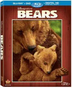 Bears (2014)