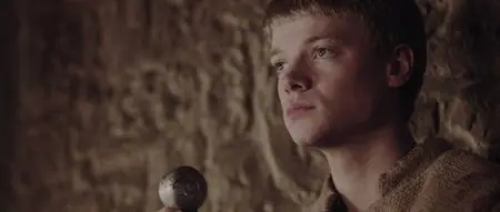 Ironclad 2: Battle for Blood (2014)