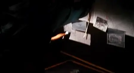 Haan (2005)