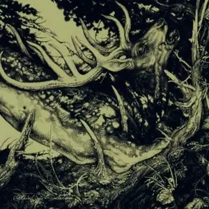 Third Eye Foundation - The dark