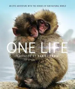 One Life (2011)