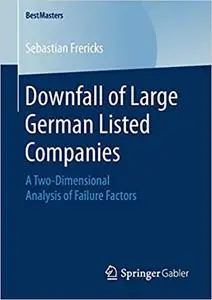 Downfall of Large German Listed Companies: A Two-Dimensional Analysis of Failure Factors
