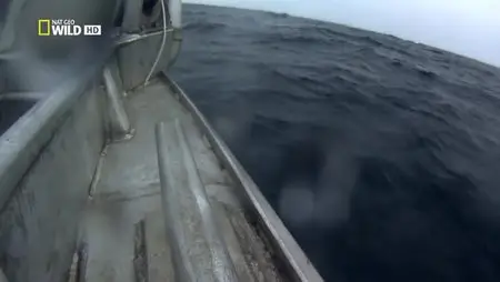 National Geographic - Alaska Fish Wars: Season on the Edge (2014)