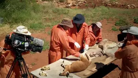 CH4 Inside Nature's Giants - Kangaroo (2012)