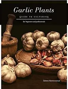 Garlic Plants: Guide to Culturing