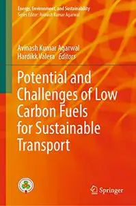 Potential and Challenges of Low Carbon Fuels for Sustainable Transport