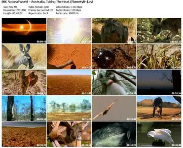 BBC Natural World - Australia: Taking The Heat (2008)