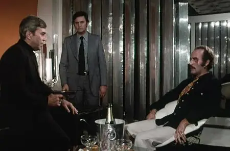 Le Protecteur (1974) [Re-UP]