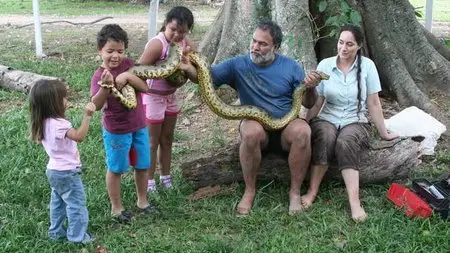 (Fr5) La vie cachée de l'Anaconda (2011)