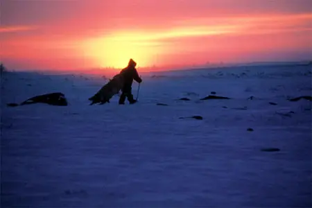 The Snow Walker (2003)