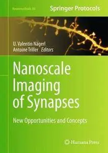 Nanoscale Imaging of Synapses: New Concepts and Opportunities (Repost)