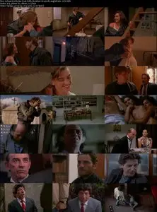 A Grande Arte (1991) 