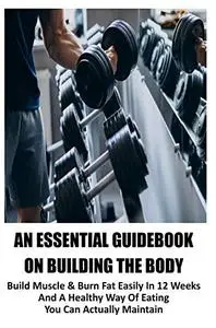 An Essential Guidebook On Building The Body