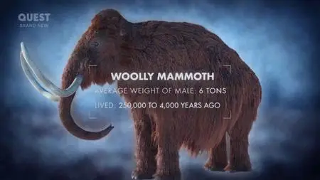 Discovery Channel - Lost Beasts of the Ice Age (2019)