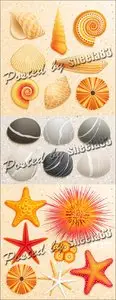 Sea Shells, Stars & Stones Vector