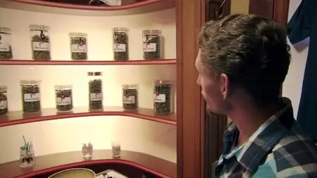 BBC This World - America's Stoned Kids (2013)