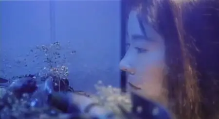 Lesbian Rape: Sweet Honey Juice (1991)
