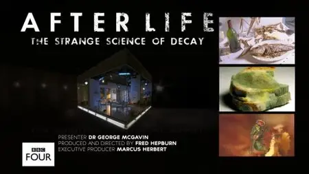 BBC - After Life: The Strange Science of Decay (2011)