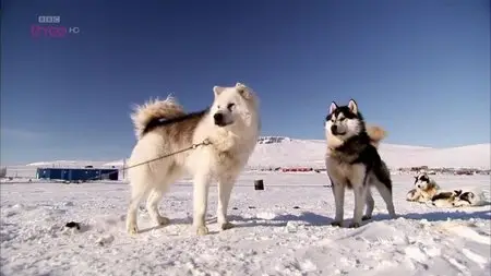 BBC - Top Gear: Polar Challenge (2007)