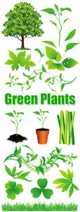Green Plants Vector