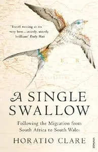 A Single Swallow: Following An Epic Journey From South Africa To South Wales